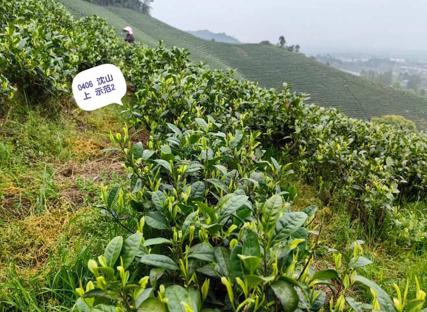 1686273221545321.png image.png