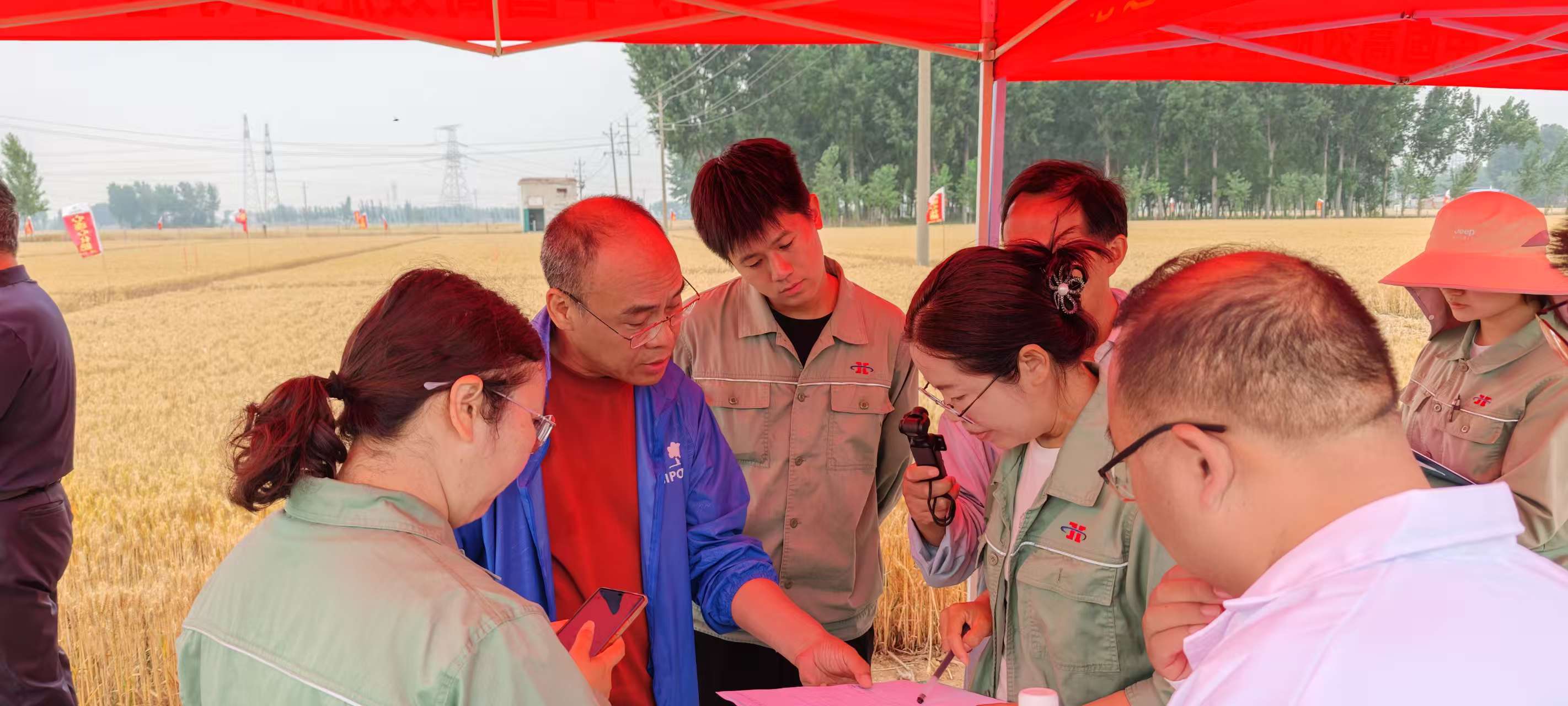 高温旱情下科技赋能农业！心连心集团主持的两个“十四五”课题交出亮眼成绩单